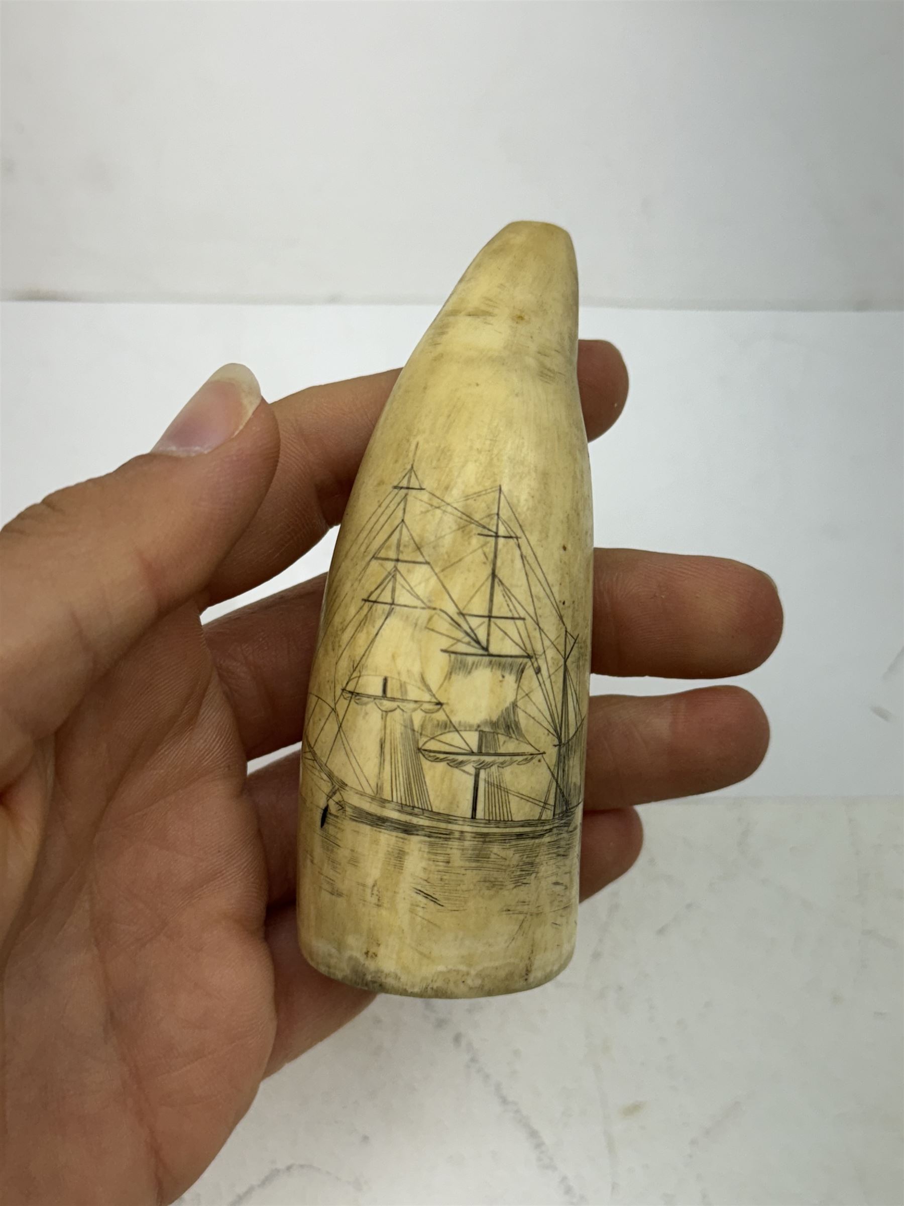 Two 19th century scrimshaw whale tooth, the first inscribed Hawk depicting ship, and the other depicting a ship, largest L9cm 