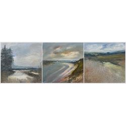 Peter Hodson (British Contemporary): Landscapes across Norfolk, three oils on board signed 22cm x 22cm (3)