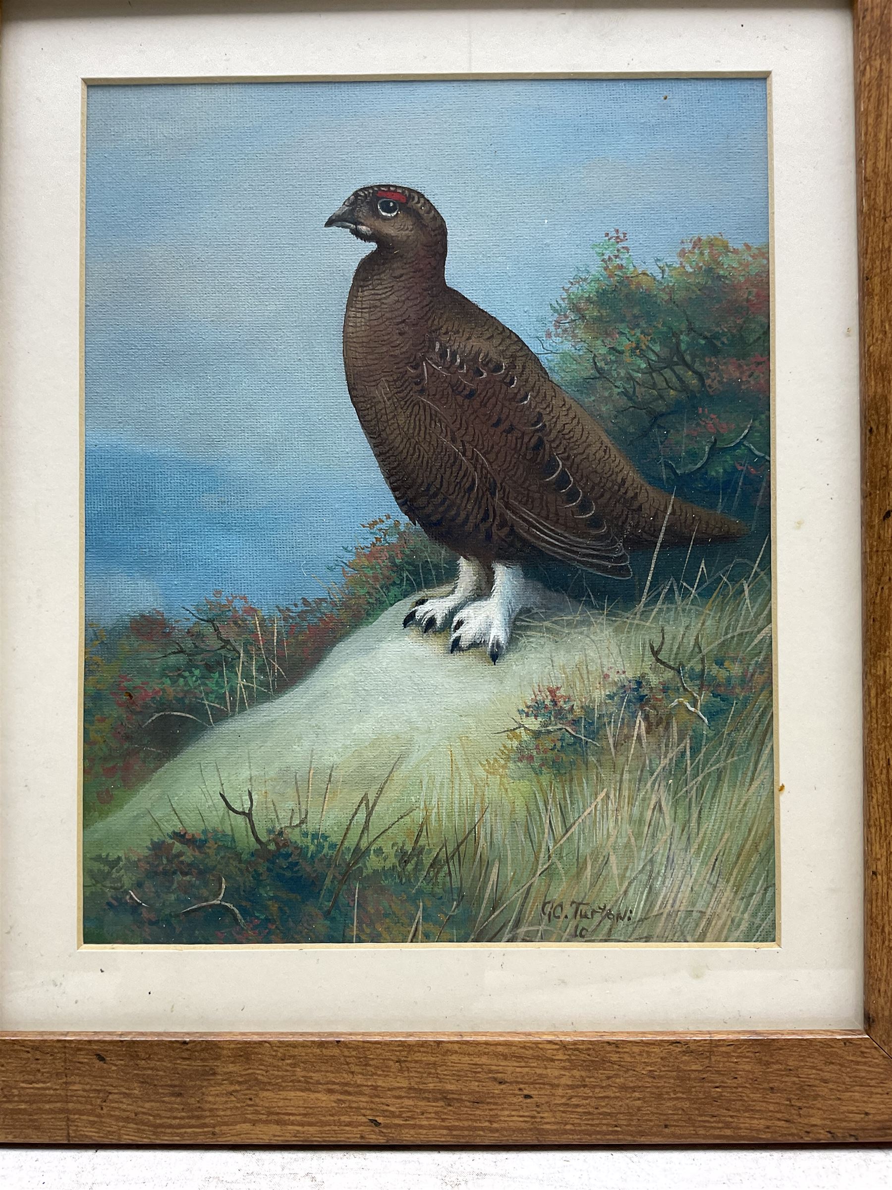 Gordon C Turton (British 1947-): Partridge and Eagle, two watercolours signed, dated '10 and '11, respectively, 25cm x 20cm (2)