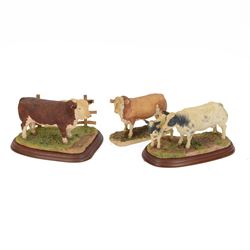 Three Border Fine Arts cow figure groups, comprising Belgian Blue Cow and Calf A1252, Here...