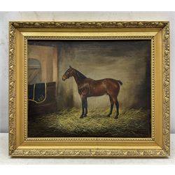 Margaret Wynn (British Early 20th Century): Portrait of Horse 'Bobs' in Stable, oil on canvas signed 31cm x 40cm 