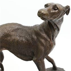 Large 20th century patinated bronze model of a whippet, signed E. Villanis, upon a rectangular marble plinth, H33cm, W15cm, L35cm 