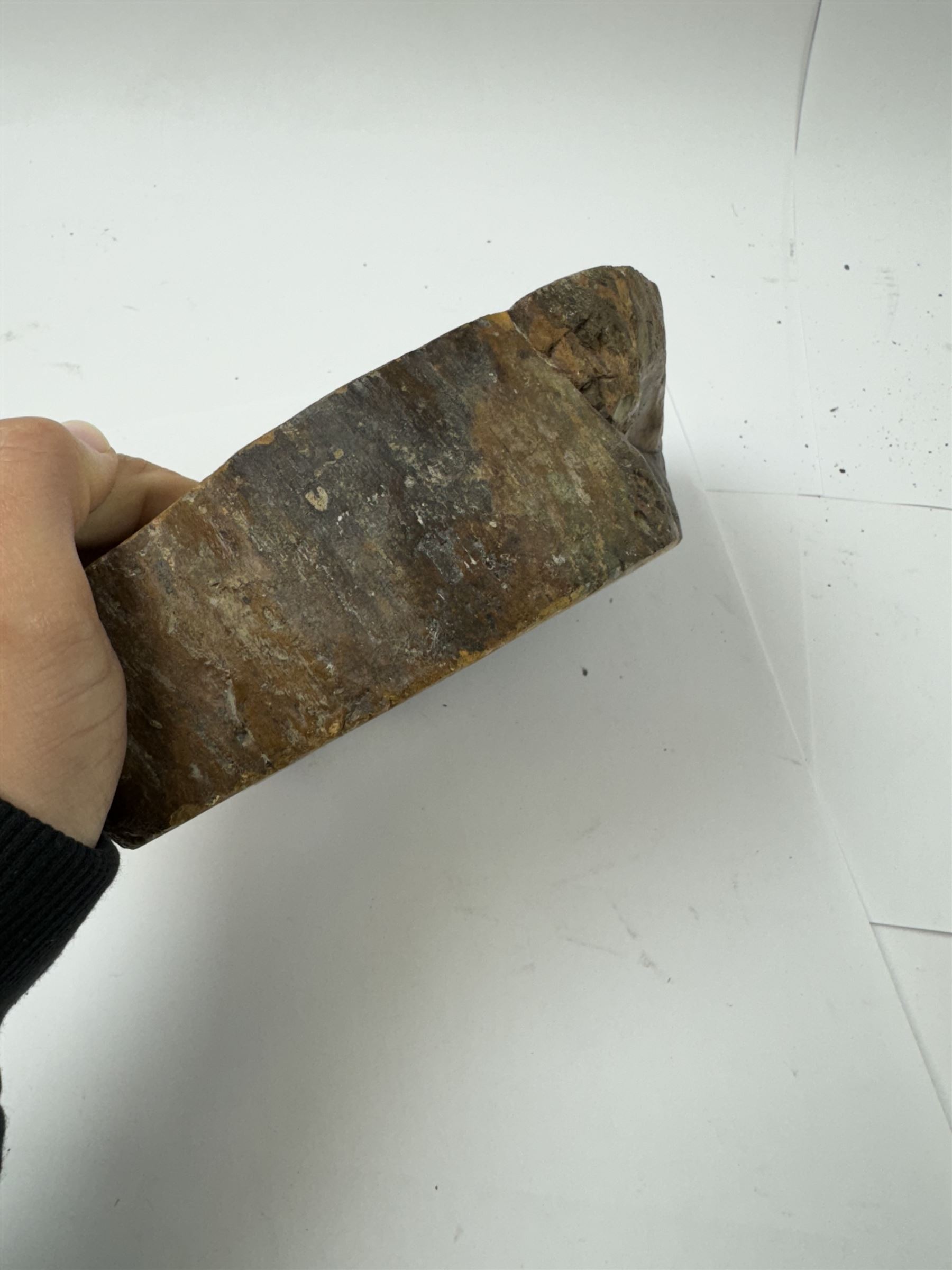 Polished petrified wood dish, some growth rings still visible and a blackened parts, texture to edge, H5cm