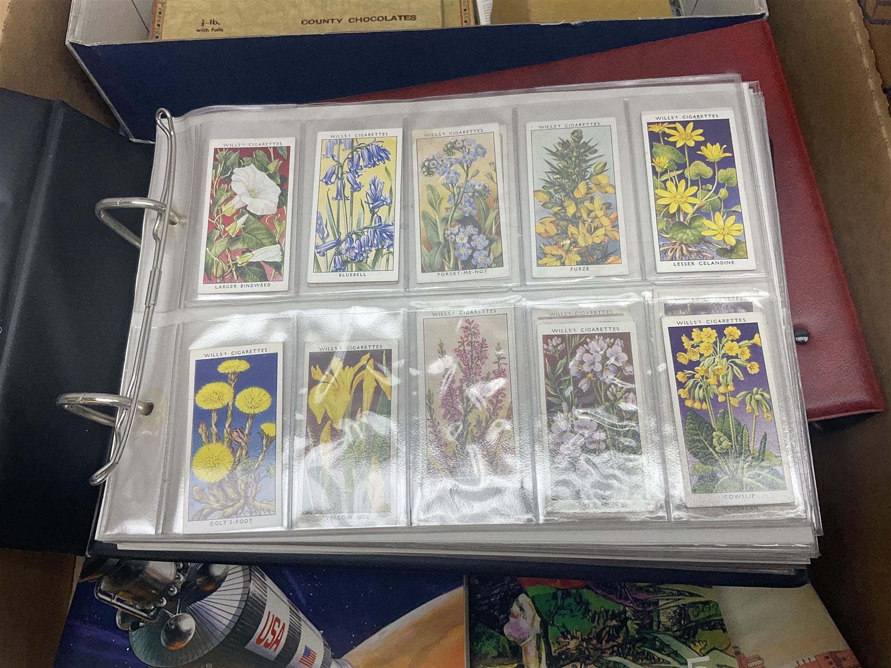 Large quantity of cigarette and tea cards, mostly in ring binders, with some loose examples, including History of Aviation, The Race into Space and Prehistoric Animals