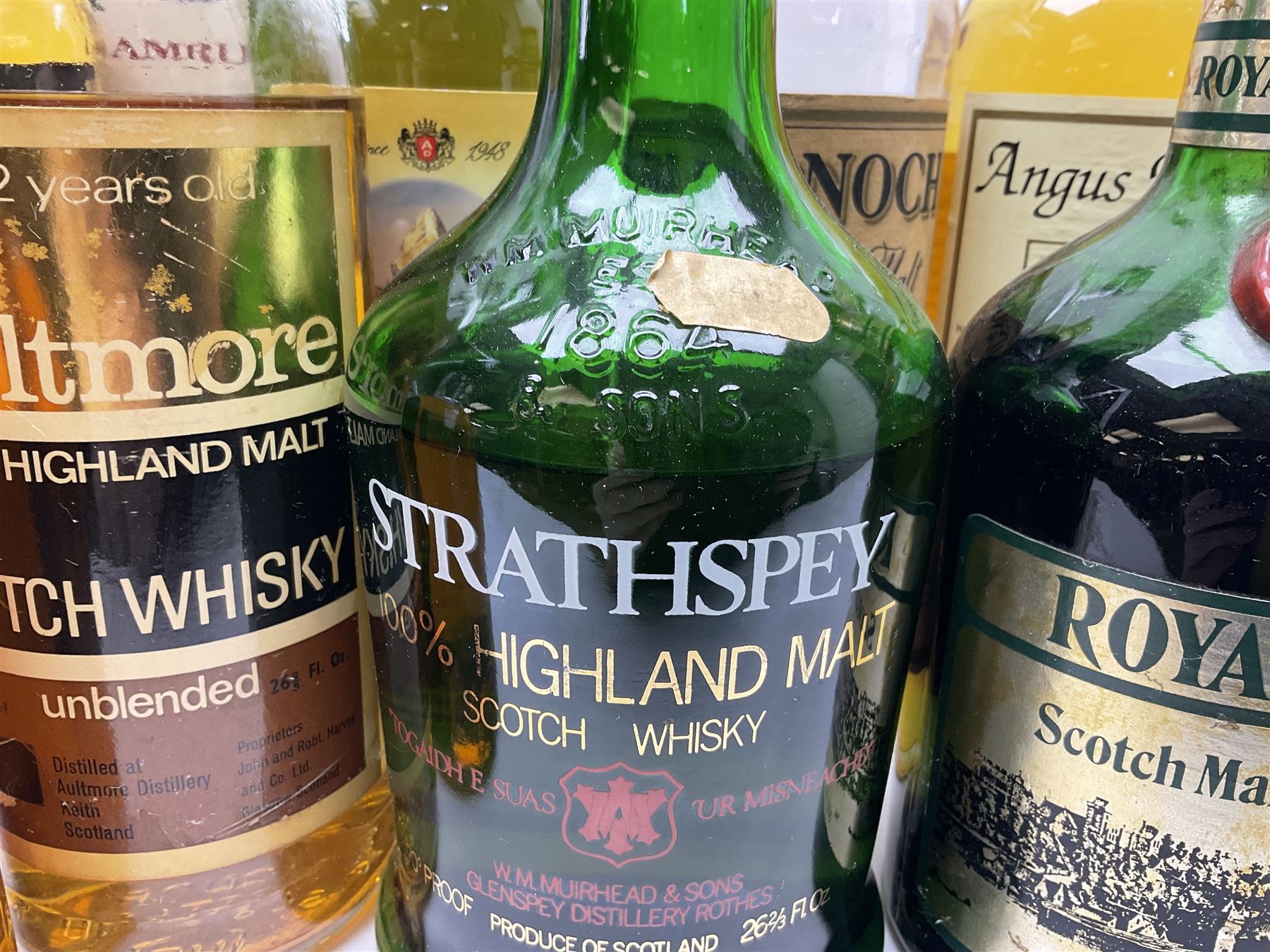 Nine Highland Malt Scotch Whiskys, including Royal Culross, Dalvegan, Angus Dundee etc, together with Amrut Indian Single Malt Whisky, verios contents and proof (10)