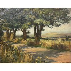 WH Patterson (British Early 20th Century): Tree Lined Road, oil on board signed 25cm x 32cm 