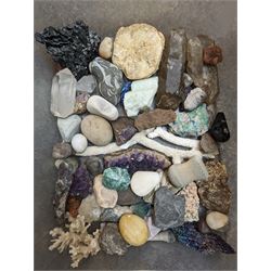 Minerals and coral, including amethyst geodes etc