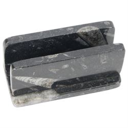 Letter rack with Orthoceras and Goniatites inclusions, H5cm, L10cm