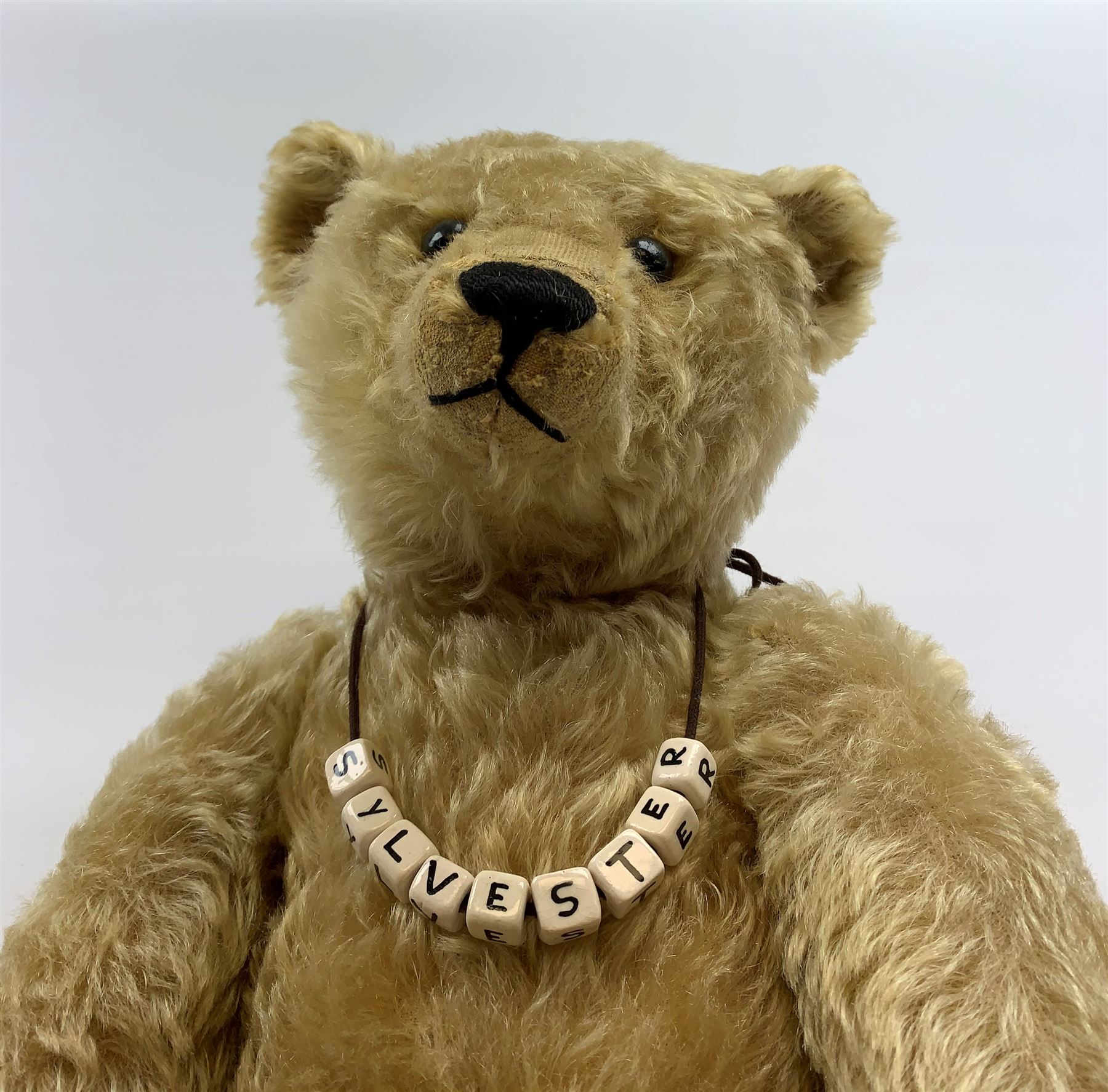 Early 20th century German Steiff large teddy bear c1907 with FF button to left ear, with wood wool filled blonde mohair body with humped back, the swivel jointed head with black boot button eyes, pronounced clipped muzzle and black vertically stitched nose and mouth and jointed elongated limbs with long arms and felt paw pads with black stitched claws, known as 'Sylvester' H24