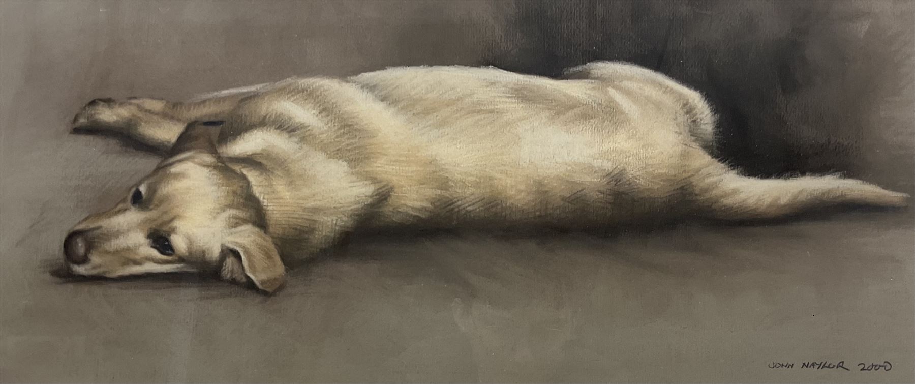 John Naylor (British 1960-): 'Relaxation' - Labrador at Rest, pastel signed and dated 2000, titled verso 24cm x 56cm