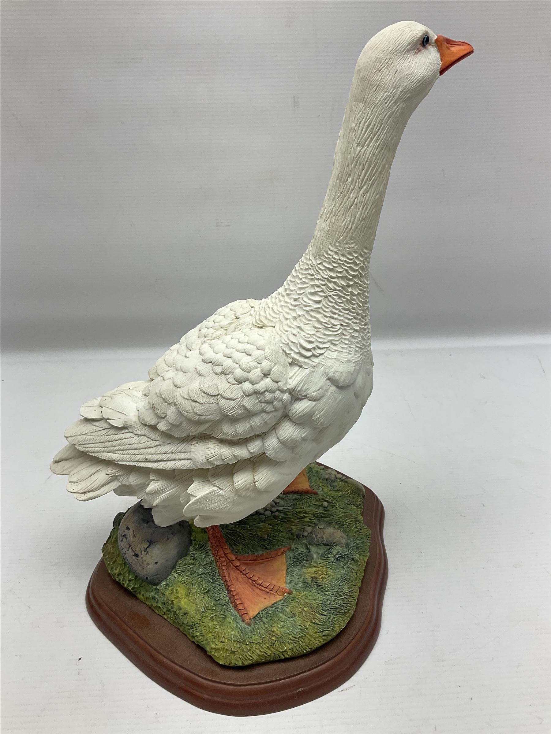 Border Fine Arts Birds by Russell Willis, Goose A0125