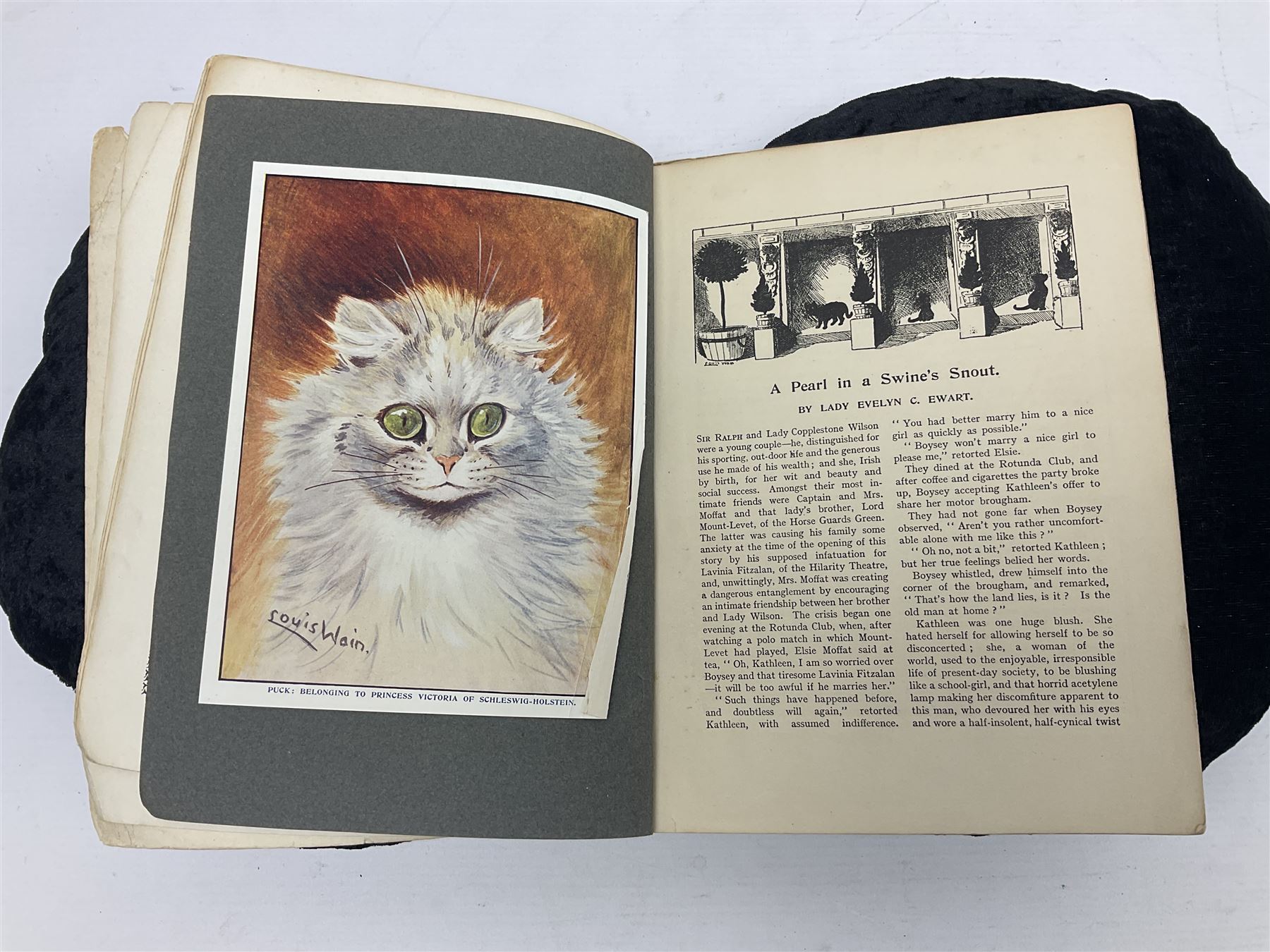 Louis Wain's Annual 1908