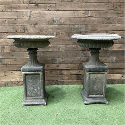 Pair of Victorian design cast stone squat garden urns, egg and dart border, raised on pede...