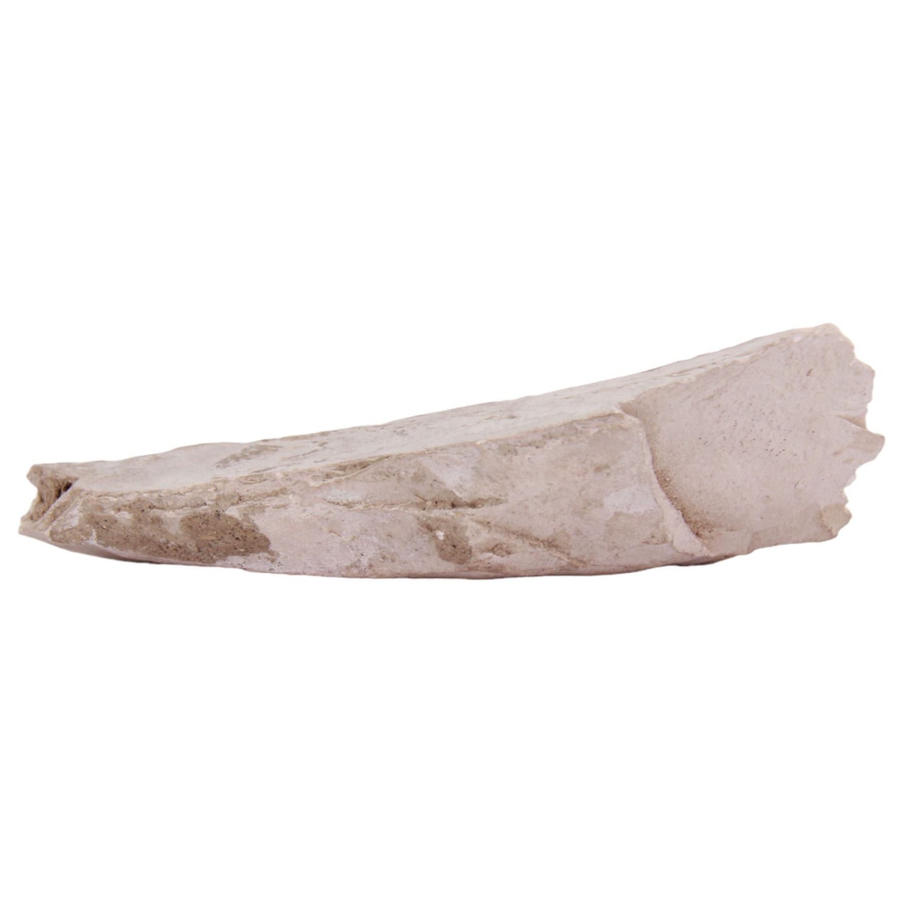 Egyptian stone fragment, probably New Kingdom limestone, depicting a figure in side profile, H14.5cm W6.5cm