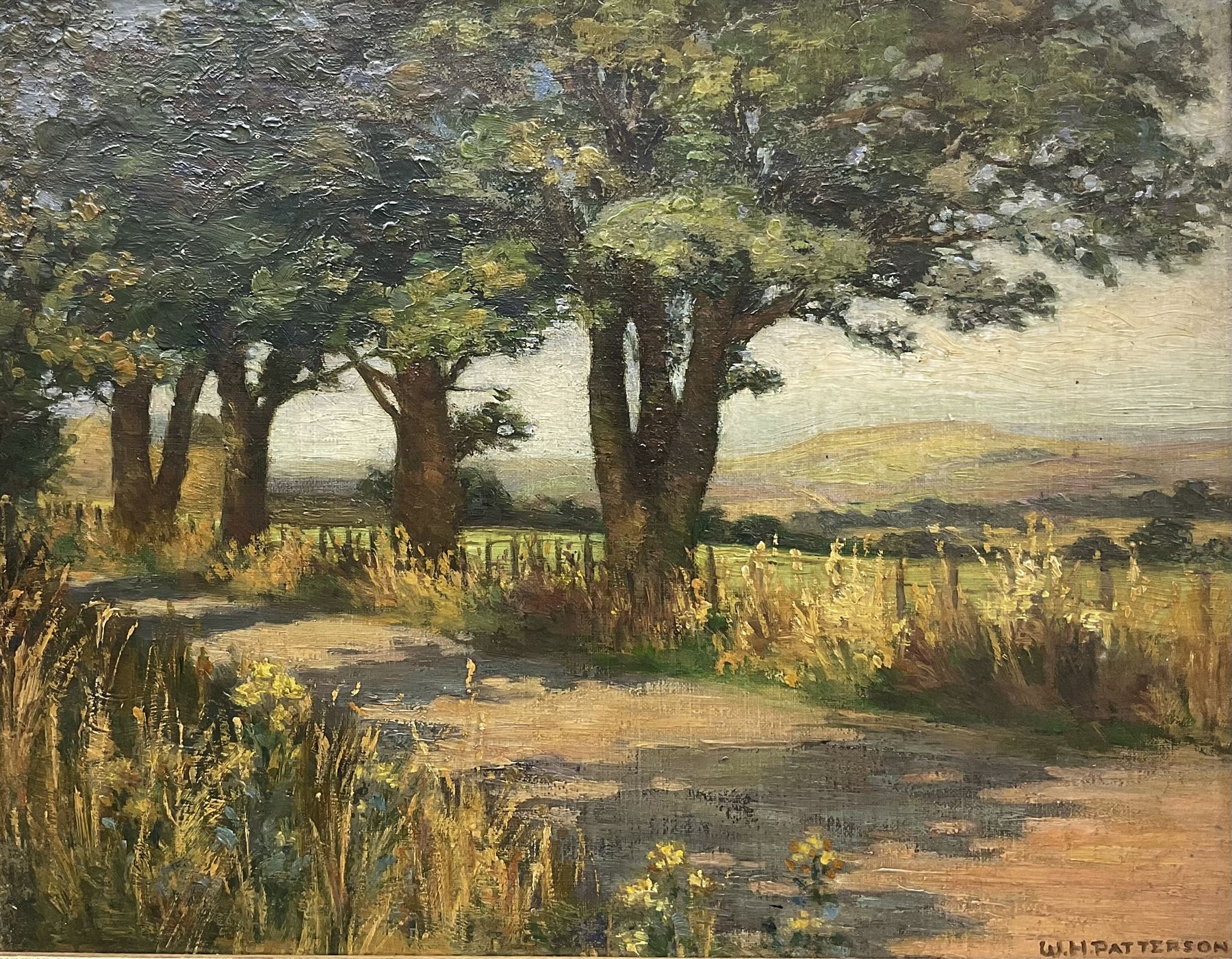 WH Patterson (British Early 20th Century): Tree Lined Road, oil on board signed 25cm x 32cm 