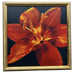 David Leeming (British Contemporary): 'Poetica I' Orange Amaryllis, large limited edition giclee print signed and numbered 22/95, 90cm x 90cm