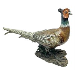 Large stoneware sculpture modeled as a Ring Neck Pheasant, upon a naturalistic base, H55cm, L78cm