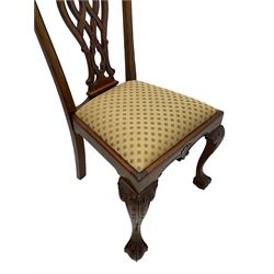 Set of twelve Chippendale design mahogany dining chairs, shaped cresting rail carved with foliage and C-scrolls, pierced interlaced splat with curled leaf decoration, upholstered drop-in seat, moulded seat rails, on scrolled acanthus carved cabriole supports with ball and claw feet 