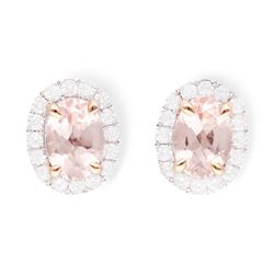 Pair of 18ct white and rose gold, oval cut morganite and round brilliant cut diamond halo cluster stud earrings, hallmarked, total morganite weight approx 1.40 carat, total diamond weight approx 0.40 carat