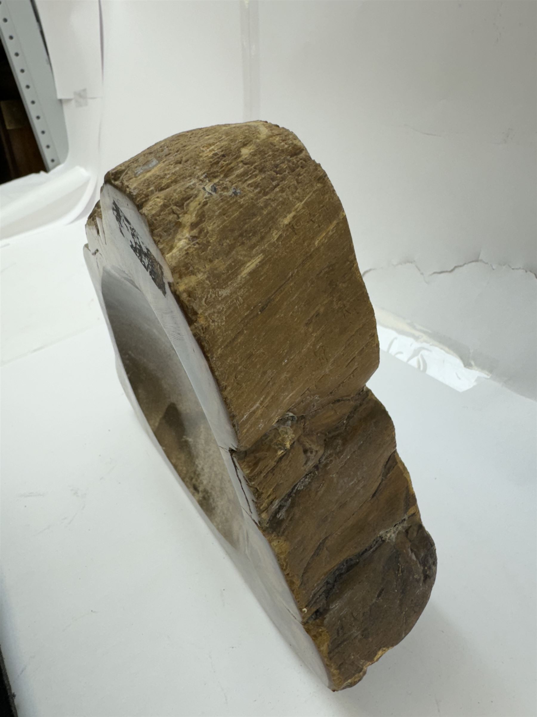 Polished petrified wood dish, some growth rings still visible, texture to edge, H5cm