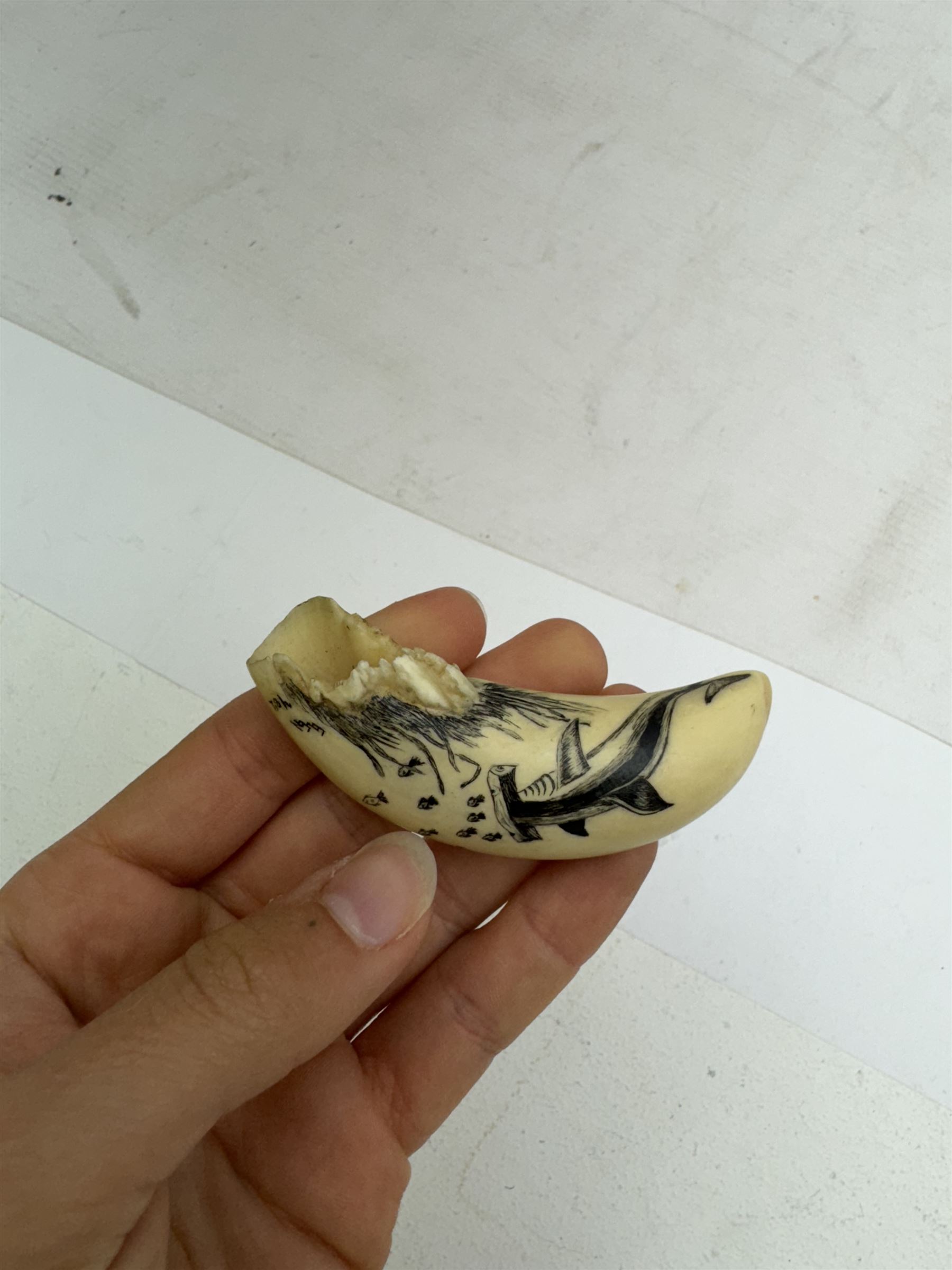 19th century scrimshaw whale tooth, depicting a hammerhead shark, L8cm