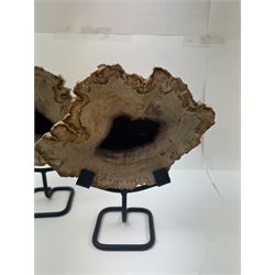 Pair of polished petrified wood slices, sliced in cross-section and polished to both sides, some growth rings still visible and a blackened centre, texture to edges, upon metal stands, H19cm