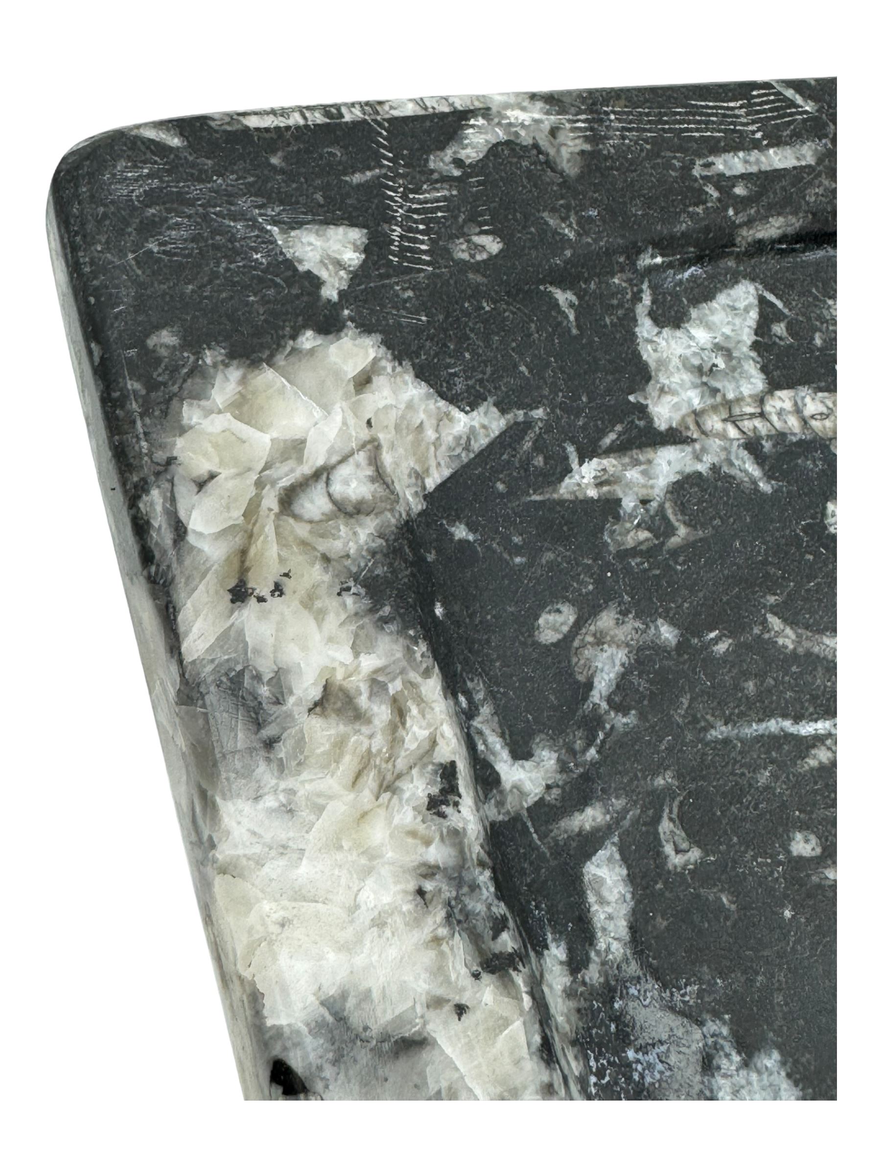 Marble hall table with orthoceras and goniatite inclusions, the rectangular top upon two rectangular stepped plinths, H78cm, L135cm, D77cm