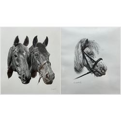 M Weatherill (British Late 20th century): 'Warrior' and other Horses, two pencil drawings signed max 24cm x 22cm (2) 
Notes: 'Warrior' was an ex-police horse, known for predicting the score of Middlesbrough F.C. football matches