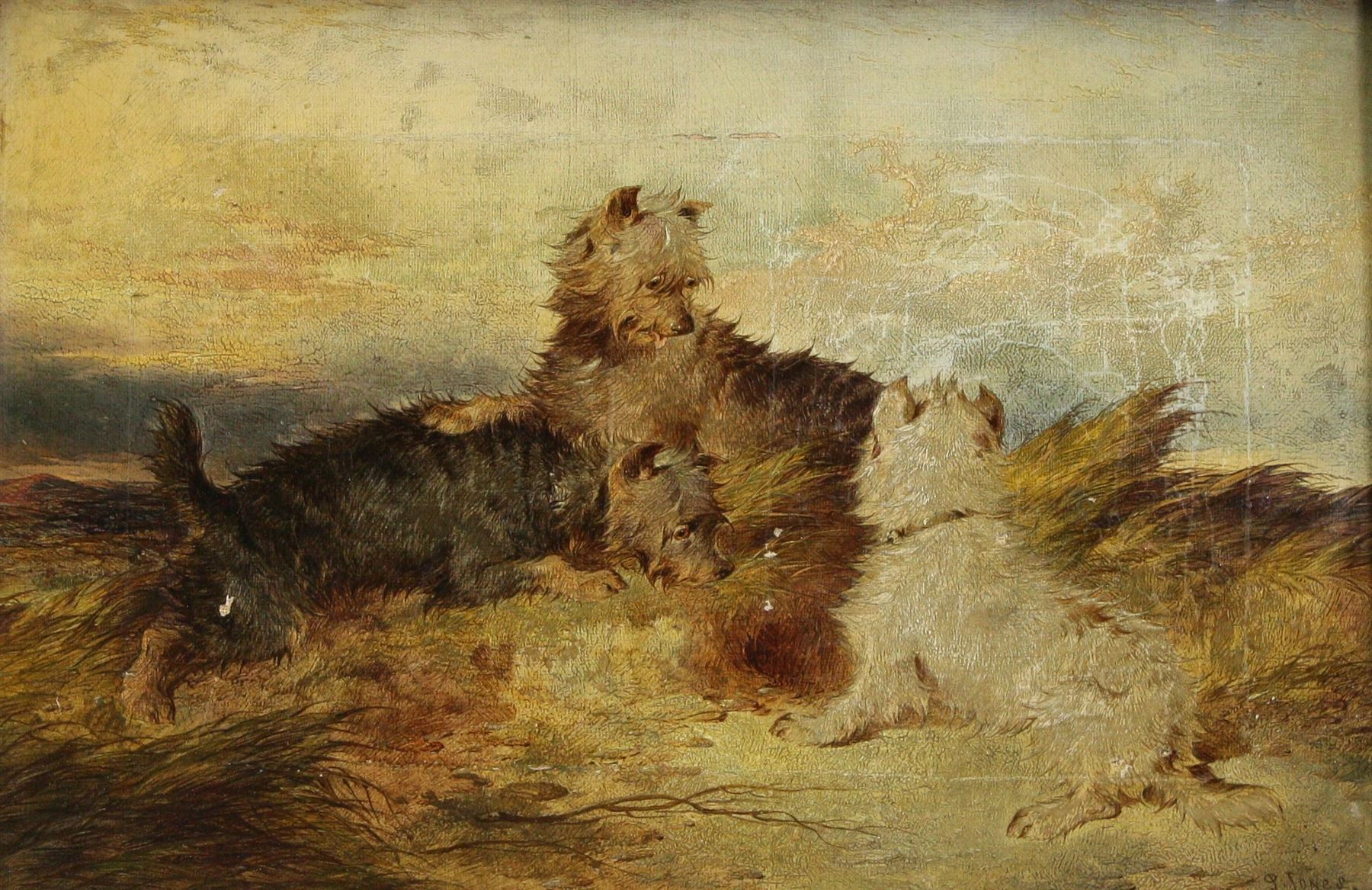 Paul Jones (British fl.1855-1888): Terriers Fighting on a Hilltop, oil on canvas signed 20cm x 29cm