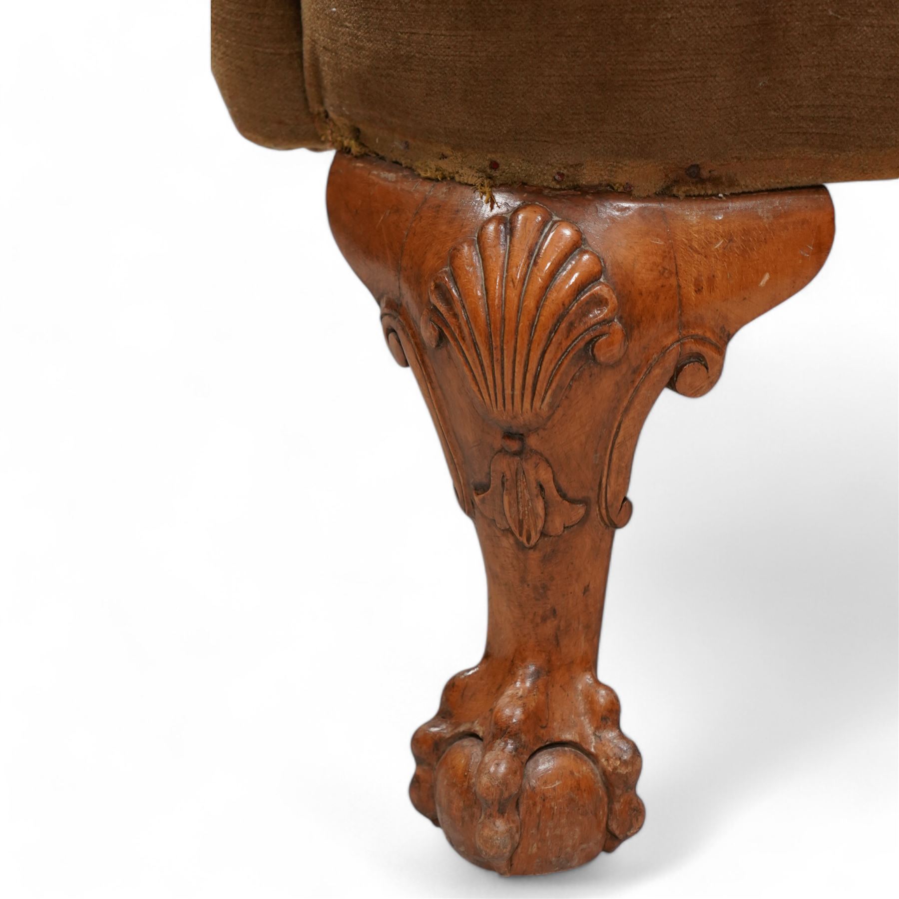 Early 20th century walnut framed wingback armchair, shallow wing back over wide seat with outward rolled arms, curved seat rail, on shell carved ball and claw cabriole feet 