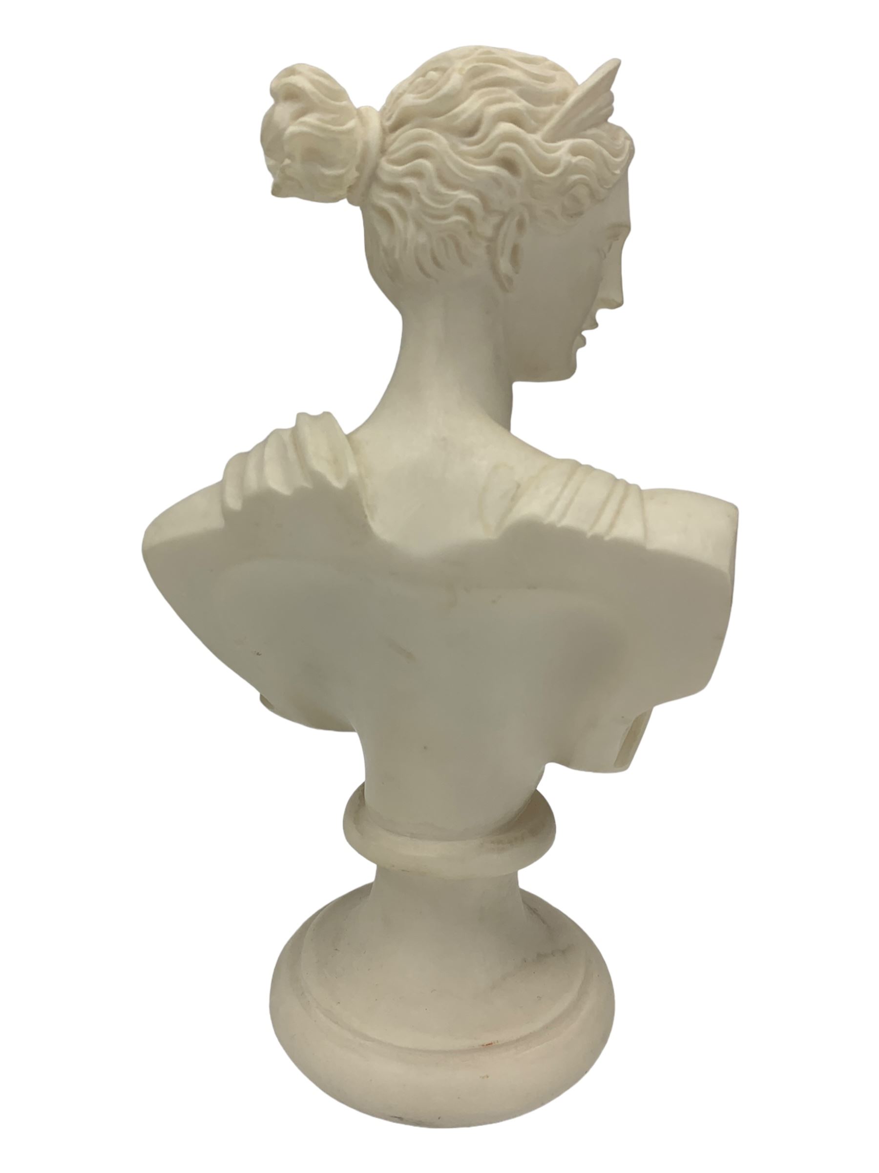 Parian ware model of a female bust on socle plinth, H20cm, resin model of 'Venus', together with other resin and composite classical figures and busts, H42cm max (6)