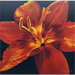 David Leeming (British Contemporary): 'Poetica I' Orange Amaryllis, large limited edition giclee print signed and numbered 22/95, 90cm x 90cm