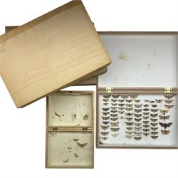 Entomology; Five storeboxes, four by the maker Watkins & Doncaster, together with setting ...