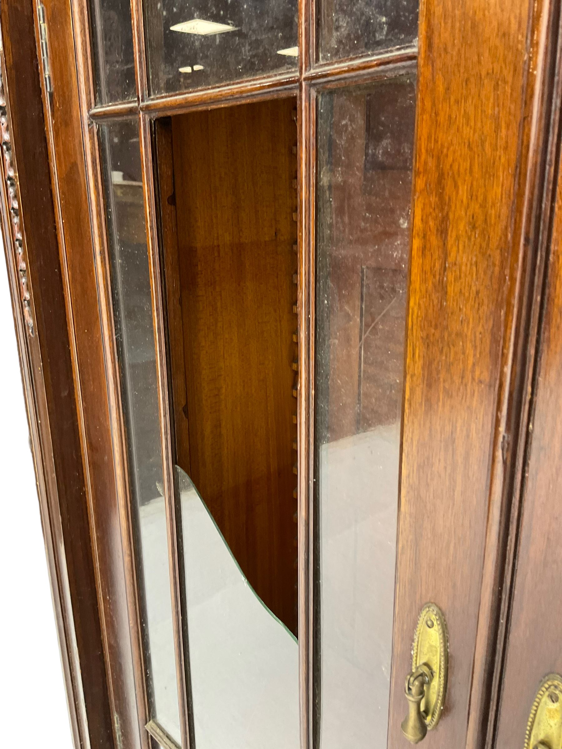 19th century mahogany display cabinet, rectangular top over frieze decorated with Vitruvian scroll mount, enclosed by two astragal glazed doors, the upright rails decorated with trailing bellflowers, on moulded plinth