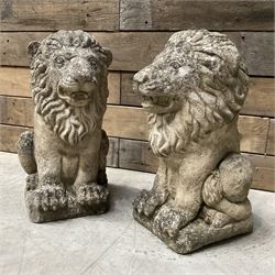 Pair of small weathered cast stone garden seated lions