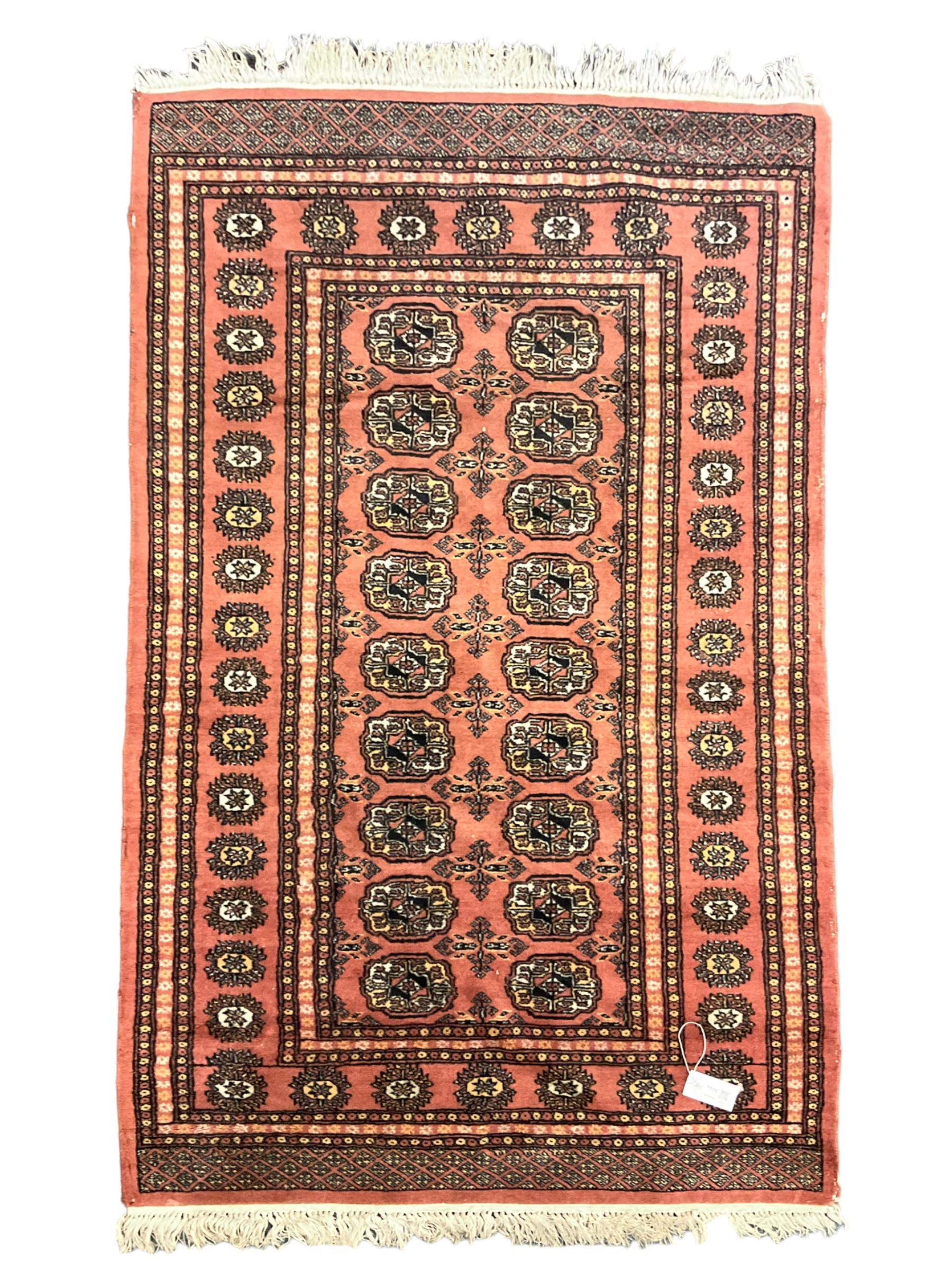 Tekke Bokhara peach ground rug, decorated with two rows of Gul motifs, repeating borders decorated with stylised plant motifs