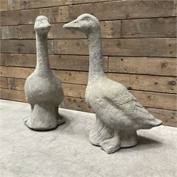 Pair of cast stone garden geese