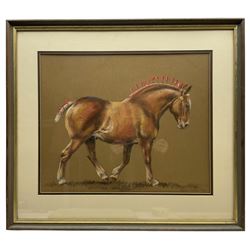 Janice Gordon (British 20th Century): 'Suffolk Punch' Show Horse, pastel on paper signed and dated '82, titled verso 49cm x 40cm