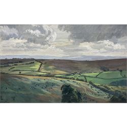 Rachel Ann Le Bas NEAC RE (British 1923-2020): Rolling Hills, oil on canvas signed 30cm x 48cm