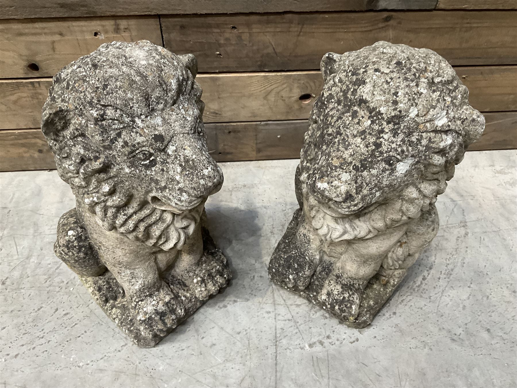 Pair of small weathered cast stone garden seated lions