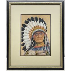 Peter F Tweedie (Britsh Contemporary): 'Touch the Clouds' - Portrait of a Native American, pastel signed and dated '96, titled verso with biographical information 29cm x 20cm