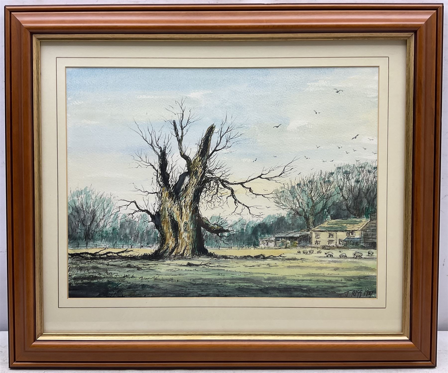 Jack Rigg (British 1927-2023): 'Old Tree near Helmsley', watercolour and ink signed and dated 1987, titled verso 29cm x 39cm