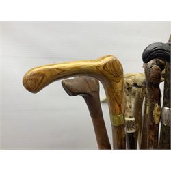 Oak barley twist stick stand, with a collection of walking sticks including examples with carved pommels, horn handles, silver collar etc, together with brass stick stand 