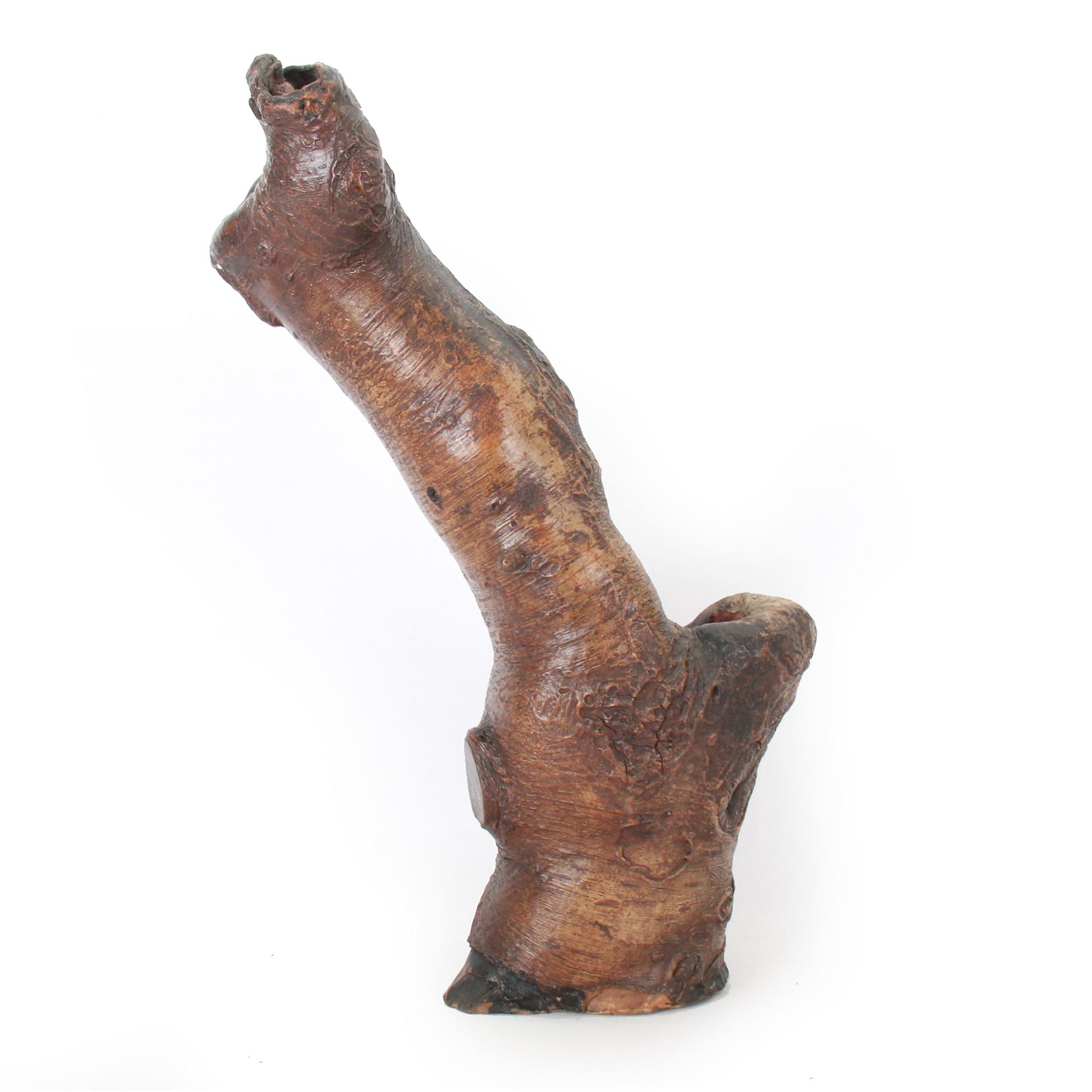 Gnarled semi hollow tree branch, H59cm