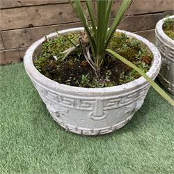 Four cast stone circular planters in white - THIS LOT IS TO BE COLLECTED BY APPOINTMENT FROM DUGGLEBY STORAGE, GREAT HILL, EASTFIELD, SCARBOROUGH, YO11 3TX