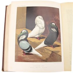 Fulton, Robert, The Illustrated Book of Pigeons with Standards for Judging, edited by Lewis Wright, the coloured plates from paintings by F.W Ludlow, London: Cassell, no date, circa 1880