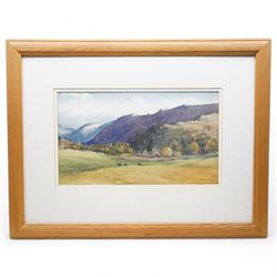 Brian Irving (British 1931-2013): Sheep Grazing in a Cumbrian Landscape, watercolour signed 26cm x 44cm