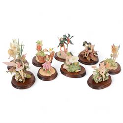 Nine Border Fine Arts Fairies figures, to include Jasmine fairy B0415, The White Bindweed ...