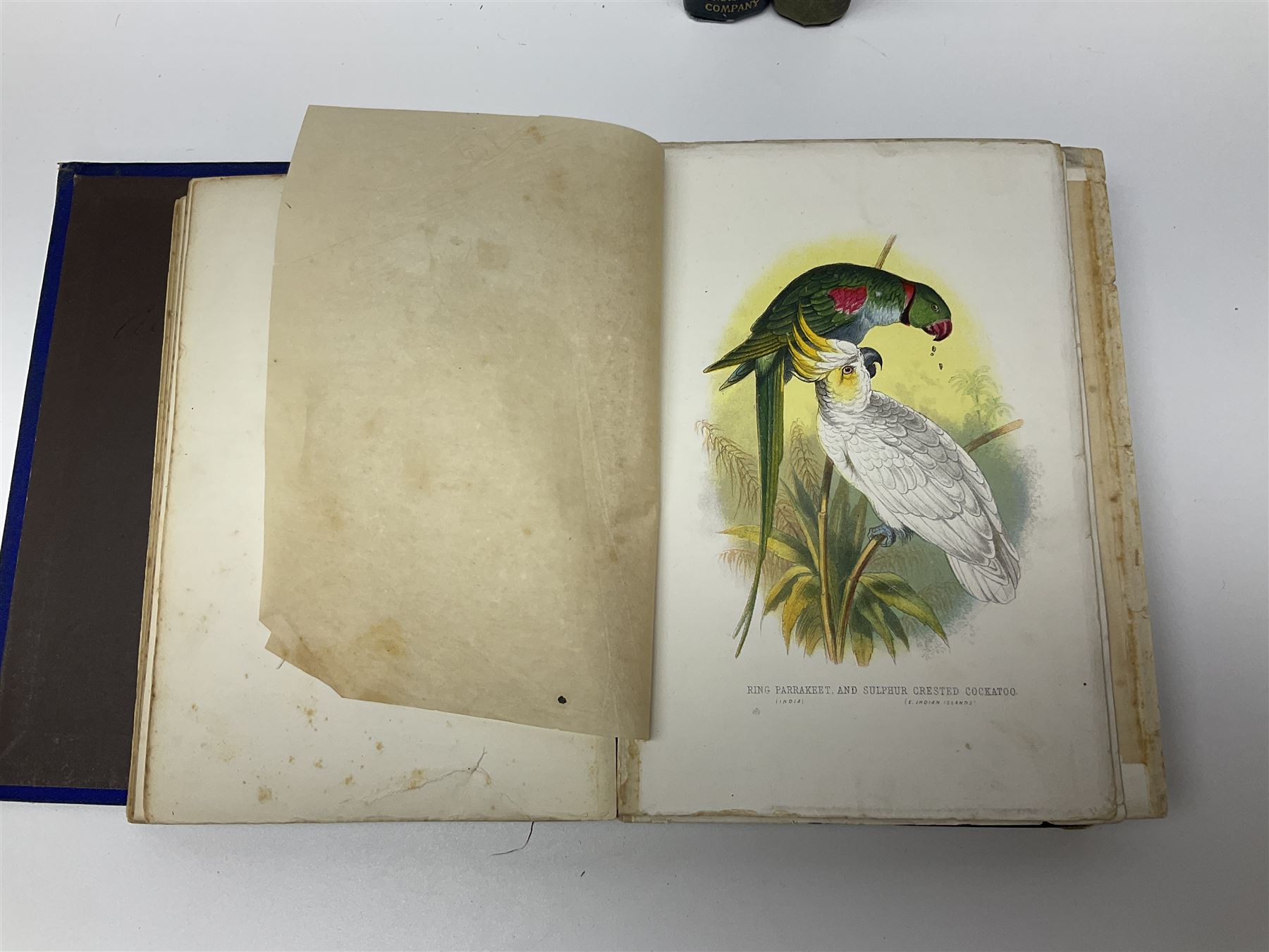 Woolf Virginia: Flush A Biography. Hogarth Press 1933 New Edition with dustjacket; Munroe Kirk: Through Swamp and Glade. 1897 First Edition; Kirby Mary & Elizabeth: Beautiful Birds in Far Off Lands. 1873. Colour plates; and two other books (5)