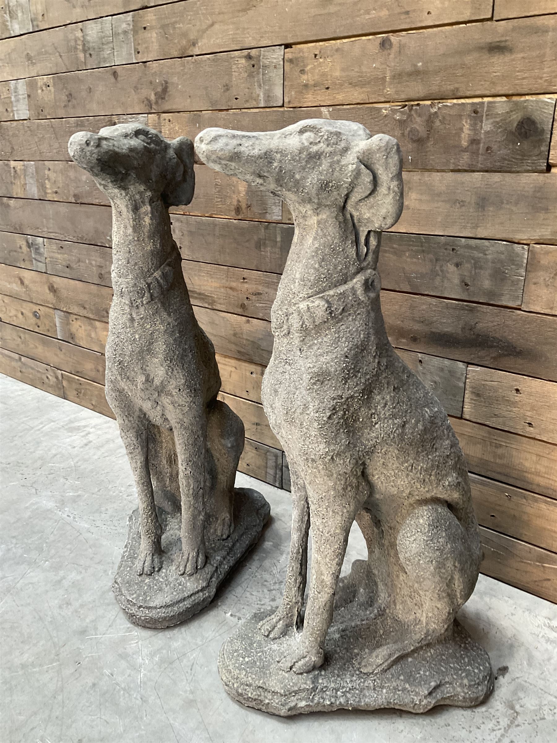 Pair of cast stone French lurchers, seated pose, on shaped plinth